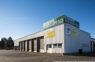 Gewerbeimmobilie mieten in Am Wiesenpfad 43, 53340 Meckenheim, 650m² EG + 460m² UG Hallenfläche, beheizbar im Gewerbegebiet in Meckenheim