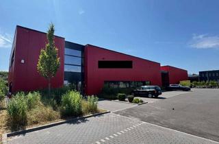 Gewerbeimmobilie kaufen in 14513 Teltow, Großbeeren: moderne Produktionshalle mit Lagerhalle und Büroräumen