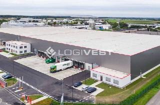 Gewerbeimmobilie mieten in 34253 Lohfelden, Projektierter Neubau einer Lager- und Produktionshalle!