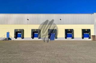 Büro zu mieten in 55411 Bingen, KEINE PROVISION ✓ Lager-/Logistik (8.000 m²) & Büro (250 m²) zu vermieten