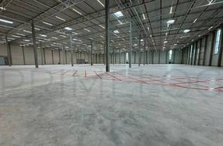 Büro zu mieten in 76437 Rastatt, JETZT ZUSCHLAGEN | ca. 27.600 m² Hallenfläche mit Büro | TEILBAR | kurzfristig