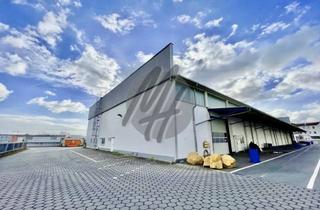 Büro zu mieten in 64347 Griesheim, SCHNELL VERFÜGBAR ✓ Lager-/Werkstatt (2.000 m²) mit Büro (400 m²) & Freilager (1.500 m²)