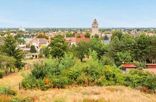 Grundstück zu kaufen in 16269 Wriezen, Bauträgerfreies teil-erschlossenes Grundstück in Wriezen - Zentrumsnah mit Ausblick über die Stadt!