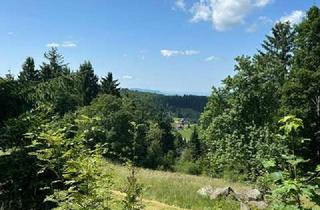 Grundstück zu kaufen in 77887 Sasbachwalden, Tolles Baugrundstück in sonniger Aussichtslage