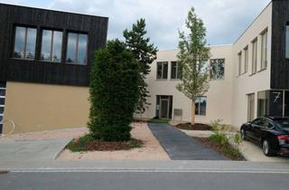Büro zu mieten in Horchstrasse, 91161 Hilpoltstein, Flexible Büro und Gewerbeflächen mit Charakter – Neubau in Hilpoltstein am Kränzleinsberg