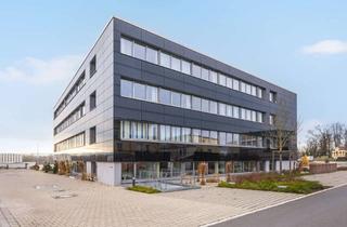 Büro zu mieten in Nürnberger Str. 19, 95448 Birken/Universität/Kreuzstein/Moritzhöfen, Lichtdurchflutetes Büro-Highlight im EG – ca. 612 m² Raum für Kreativität und Wachstum