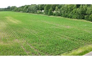 Gewerbeimmobilie kaufen in 48691 Vreden, Landwirtschaftliche Fläche in Vreden "Ellewicker Mark" zu verkaufen!