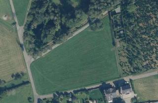 Gewerbeimmobilie kaufen in 54317 Thomm, Landwirtschaftsgrundstück in verkehrsgünstiger Grenzregion