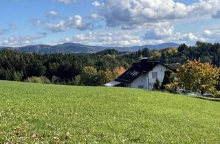 Haus kaufen in Albertsried 31, 94374 Schwarzach, Großzügiges Wohnen in Naturidyll mit Außenpool, Halle/Werkstatt etc.