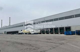 Gewerbeimmobilie mieten in 69168 Wiesloch, Kurzfristig verfügbar! Hallenfläche 10.000 bis 30.000 m² - 24/7 mit vielen Toren!