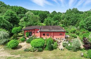 Einfamilienhaus kaufen in 01665 Diera-Zehren, Diera-Zehren - Grünes Paradies mit Charme - Einfamilienhaus mit weitläufigem Traumgarten