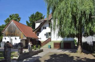 Einfamilienhaus kaufen in 79206 Breisach, Breisach am Rhein - Freistehendes Einfamilienhaus in Breisach mit Schuppen und Garage