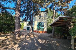 Haus kaufen in 04567 Kitzscher, Kitzscher - Neuseenland, Villenartiges Wohn- und Gewerbeobjekt Außerortslage