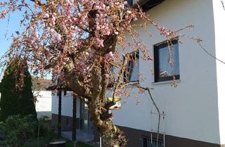Einfamilienhaus kaufen in 71126 Gäufelden, Gäufelden - Freistehendes Einfamilienhaus mit Einliegerwohnung zu verkaufen