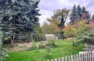 Reihenhaus kaufen in 01896 Pulsnitz, Pulsnitz - Das richtige für die Familie: Stadthaus mit viel Potential, Garten + angrenzendes 2. Grundstück