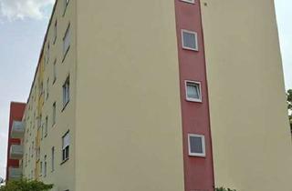 Wohnung mieten in Im Erlich 31, 67346 Speyer, Stilvolle, gepflegte 2-Raum-Wohnung mit Einbauküche in Speyer