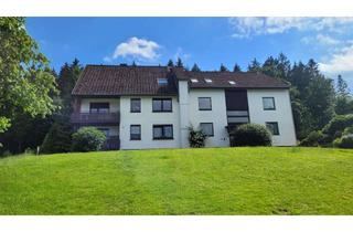 Wohnung mieten in Drosselweg 12, 37603 Holzminden, Attraktive und gepflegte 2-Zimmer-Wohnung mit Balkon und EBK in Holzminden / Neuhaus i.S.