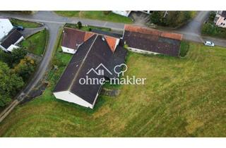 Einfamilienhaus kaufen in 91805 Döckingen, Ehemaliges landwirtschaftliches Anwesen in Döckingen - großes Grundstück - hohe Potentiale