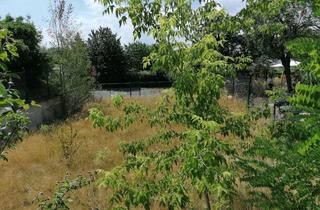 Grundstück zu kaufen in 01471 Radeburg, Baugrundstück für Einfamilienhaus