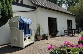 Einfamilienhaus kaufen in 04821 Brandis, Brandis / Waldsteinberg - Waldsteinberg: Charmantes Häuschen in naturnaher Lage - waldnah und nur 5 Minuten zum Westbruch