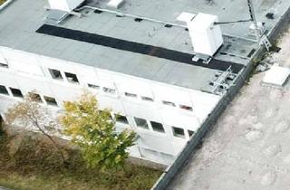 Lager mieten in Mitterstraßweg 21, 82064 Straßlach-Dingharting, 45 m² helle Werkstatt/Lager beheizt provisionsfrei vom Eigentümer