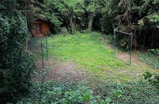 Haus kaufen in 64521 Groß-Gerau, Ein Schmuckstück der 50-ziger Jahre im Innenstadtbereich von Groß-Gerau voller Möglichkeiten
