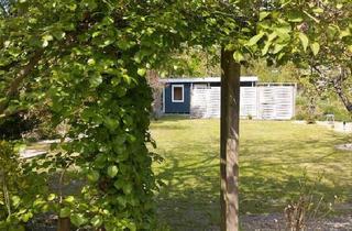 Einfamilienhaus kaufen in 29525 Uelzen, Uelzen - Ferienhaus oder Einfamilienhaus in Dannenberg