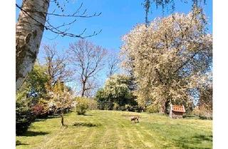 Haus kaufen in 17168 Jördenstorf, Jördenstorf - für Jäger,Natur-und Tierfreunde,Haus im Grünen, 4100m² Grundstück