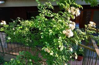 Wohnung kaufen in 97234 Reichenberg, Wohnung über zwei Etagen mit Garten, zwei Balkonen und Garage – Ihr neues Zuhause in Reichenberg