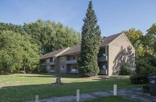 Wohnung mieten in Mühlenbachstraße 33, 49808 Lingen, WOHNEN AM MÜHLENBACH - 2-Zimmer DG Wohnung im Grünen zu vermieten