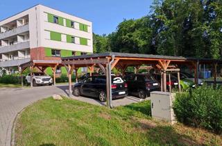 Wohnung mieten in Lindenallee 4a, 15366 Hoppegarten, Schöne Wohnung im Grünen Nähe Rennbahn
