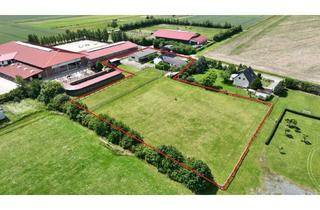 Einfamilienhaus kaufen in 38154 Königslutter, Landleben pur: Einfamilienhaus mit Pferdestallung und 4000 m² Grünland