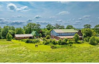Haus kaufen in Krützfleth, 25554 Neuendorf-Sachsenbande, Resthof bei Wilster - Viel Platz für Mensch und Tier
