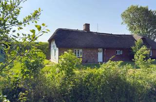 Haus kaufen in 25845 Nordstrand, Kleines Doppelhaus unter Reet in Nordseenähe - Halbinsel Nordstrand