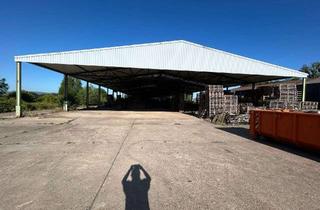 Gewerbeimmobilie mieten in 31789 Hameln, Offene Lagerhalle vielseitig nutzbar