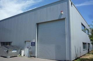Büro zu mieten in 46395 Bocholt, moderne Lagerhalle Produktionshalle Logistikhalle mit Büros Sozialräumen Parkplätzen in guter Lage