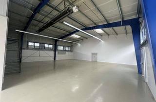 Büro zu mieten in 89173 Lonsee, Große Gewerbehalle inkl. Büro in Luizhausen zu vermieten