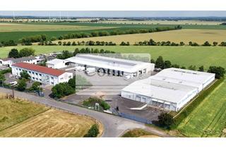 Gewerbeimmobilie mieten in 04683 Belgershain, Logistikfläche mit Cross-Dock-Funktion | Threna | ca. 3.300 m² ab sofort
