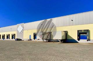 Büro zu mieten in 55411 Bingen, KEINE PROVISION ✓ Lager-/Logistik (4.000 m²) & Büro (250 m²) zu vermieten