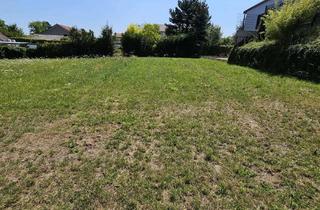 Grundstück zu kaufen in 67591 Wachenheim, Tolles Grundstück mit mehr als 1000m²
