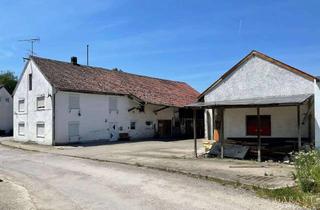 Grundstück zu kaufen in 85778 Haimhausen, Achtung Rohdiamant! Neubau oder umfangreiche Renovierung in Haimhausen-Otterhausen