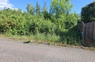 Grundstück zu kaufen in Börßumer Straße 11 b+c, 38312 Heiningen, schönes Eckgrundstück im Wohngebiet Heiningen 820 m²
