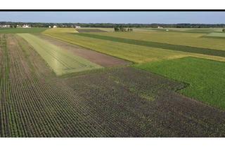 Gewerbeimmobilie kaufen in Pulling, 85354 Freising, Feldwiese in Pulling bei Neufahrn