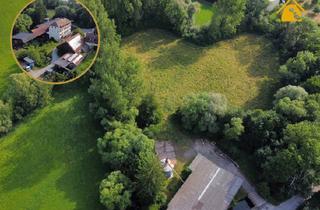 Gewerbeimmobilie kaufen in 74405 Gaildorf, Einzigartige Mühle mit Wohnhäusern und weitläufigem Grundstück – Viel Platz und Charme