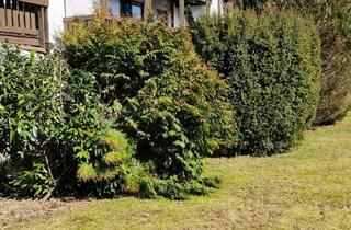 Wohnung kaufen in 83435 Bad Reichenhall, Bad Reichenhall, nähe KARLSPARK ruh. große 4 Zi-EG-Whg,+Hobbyraum,, Parkett, sep.Wc, Terr, Garten