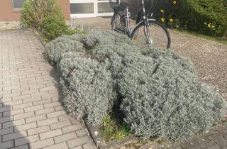 Wohnung mieten in 64807 Dieburg, Schöne, gepflegte Singlewohnung im Dachgeschoss in ruhiger Lage