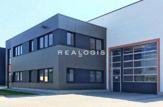 Gewerbeimmobilie mieten in 16727 Oberkrämer, Oberkrämer, ca. 12.035 m², Lager, Logistik