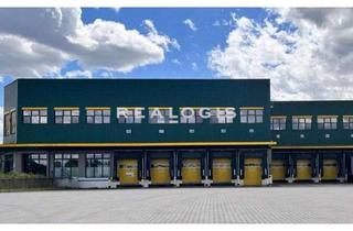 Gewerbeimmobilie mieten in 16766 Kremmen, Kremmen: ca. 12.570 m² Lager- und Logistik!