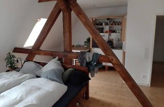 Wohnung mieten in Blumenwerder Straße, 16225 Eberswalde, Nachmieter für helle 1 Raumwohnung in Eberswalde gesucht