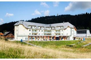 Wohnung kaufen in 79868 Feldberg (Schwarzwald), Feldberg: Ihre neue Ferienwohnung in bester Lage